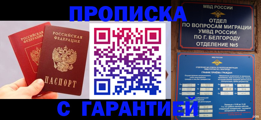 прописка 2025 в Болотном